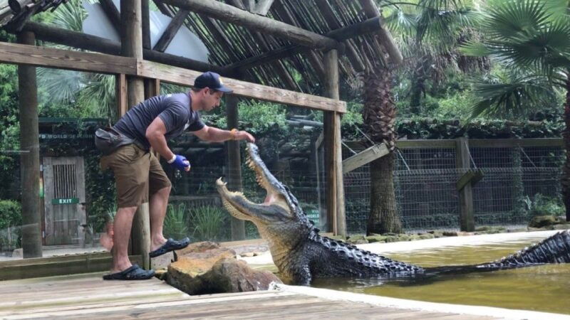orlando-wild-florida-park-ticket-and-gator-shows