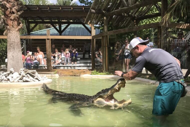 orlando-wild-florida-park-ticket-and-gator-shows