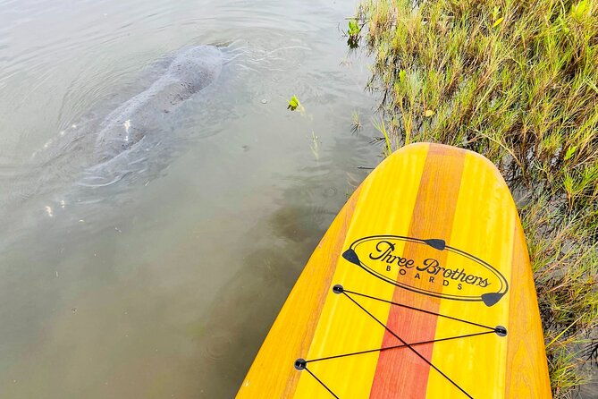 ormond-beach-manatee-and-nature-tour-kayaking-or-paddle-boarding