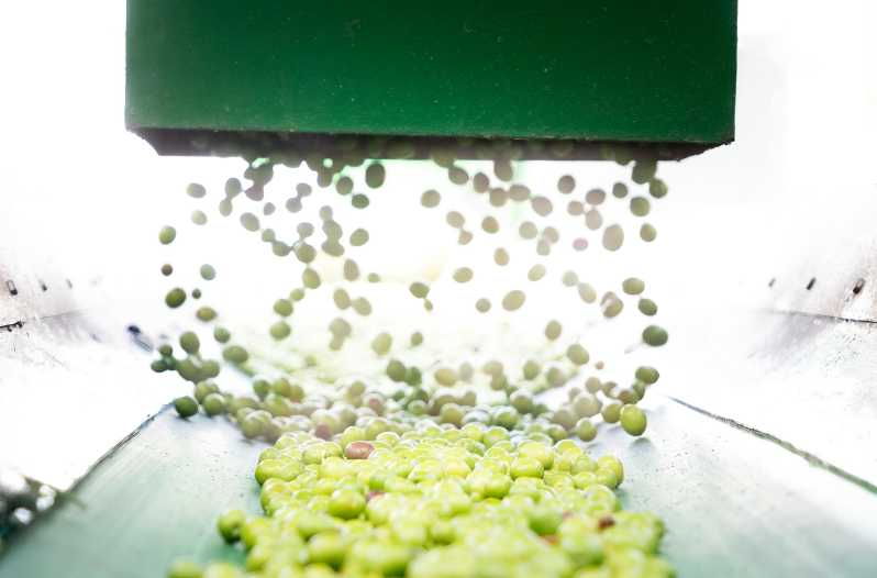 oro-bailen-explore-the-oil-mill-tasting