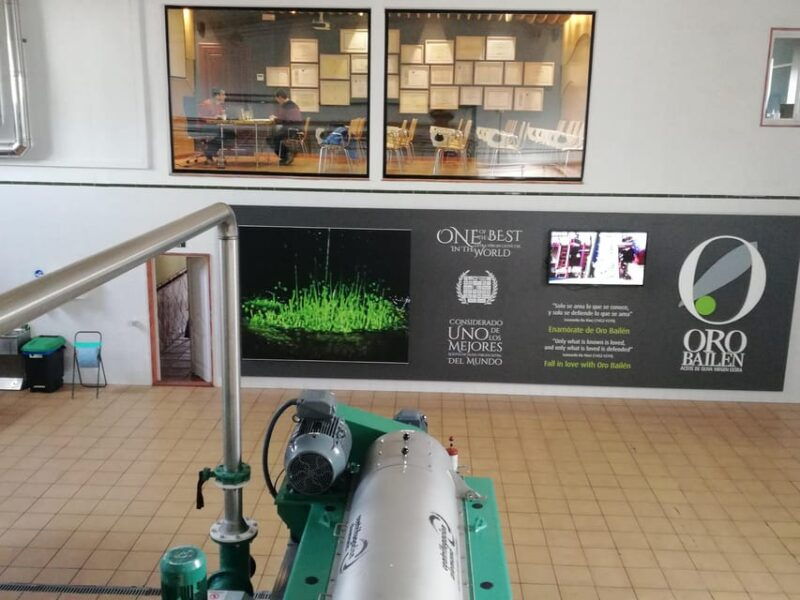 oro-bailen-explore-the-oil-mill-tasting