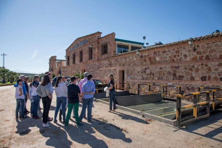 oro-bailen-tour-of-oro-bailen-grove-mill-tasting