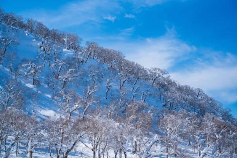 Orofure Pass Beginner Snowshoeing Tour - Key Points