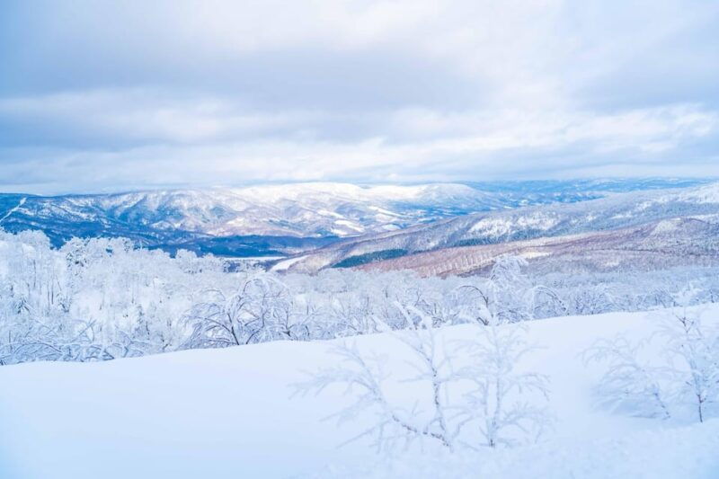 orofure-pass-half-day-snowshoeing-tour