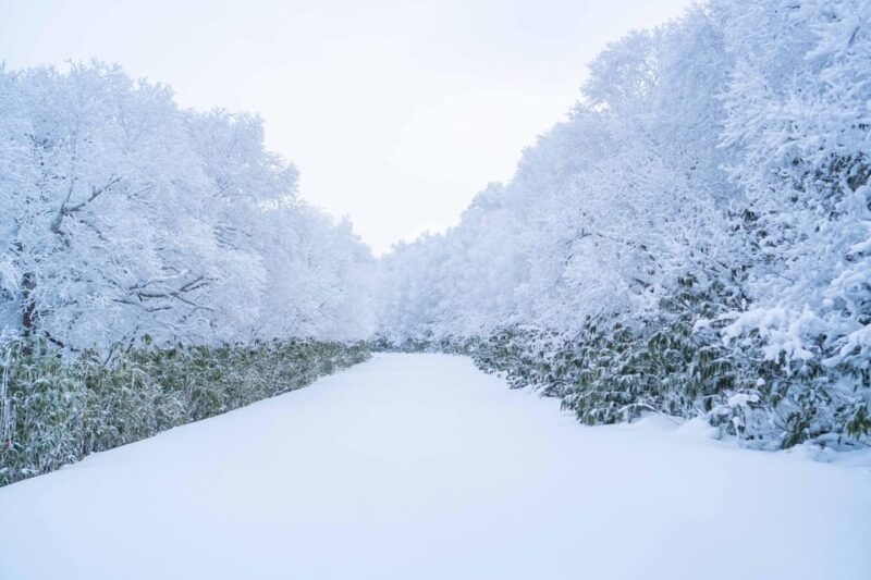orofure-pass-half-day-snowshoeing-tour