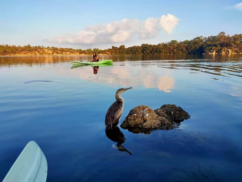 Orosei: Guided Kayak Tour of the Biderosa Oasis at Sunset - A Closer Look at the Experience