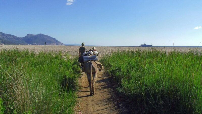 orosei-gulf-3-days-trekking-with-donkeys