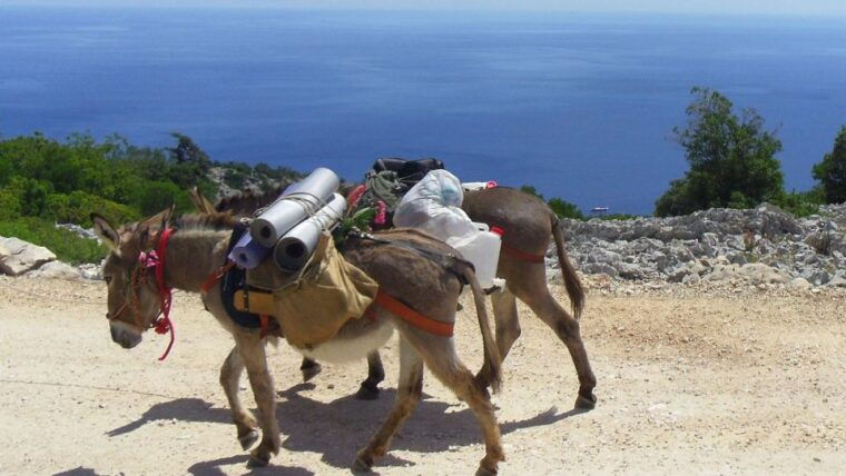 orosei-gulf-3-days-trekking-with-donkeys