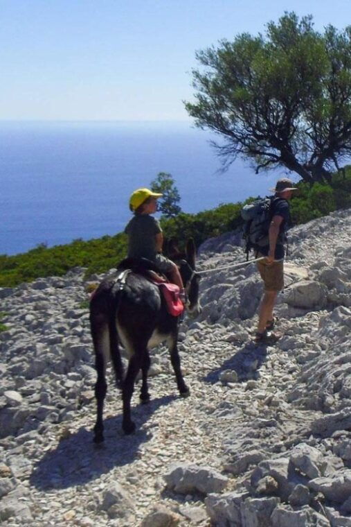 orosei-gulf-3-days-trekking-with-donkeys