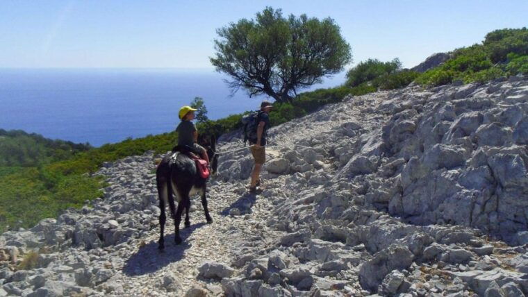 orosei-gulf-3-days-trekking-with-donkeys