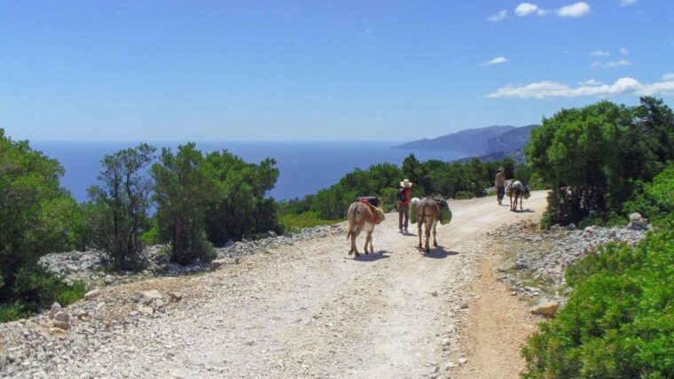 orosei-gulf-3-days-trekking-with-donkeys