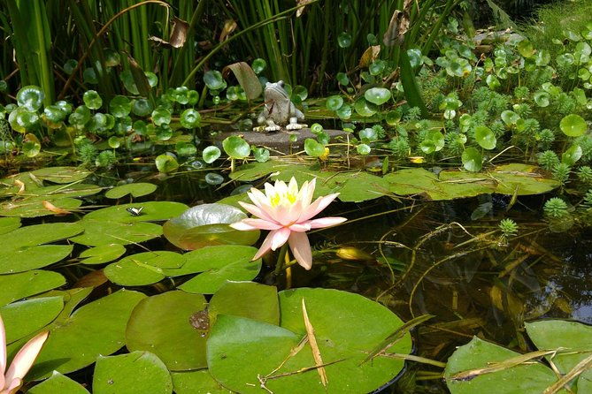 orosi-lankester-from-san-jose