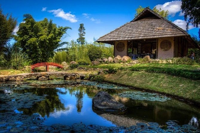 orosi-lankester-from-san-jose