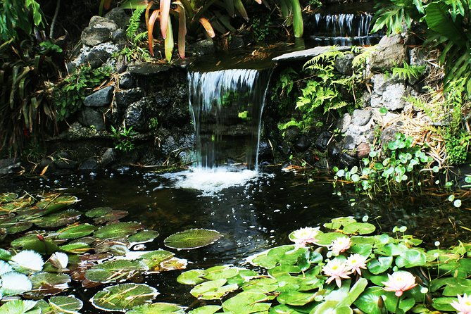 orosi-lankester-from-san-jose