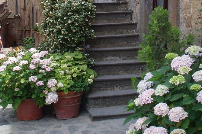 orvieto-and-civita-di-bagnoregio-private-full-day-trip-from-rome