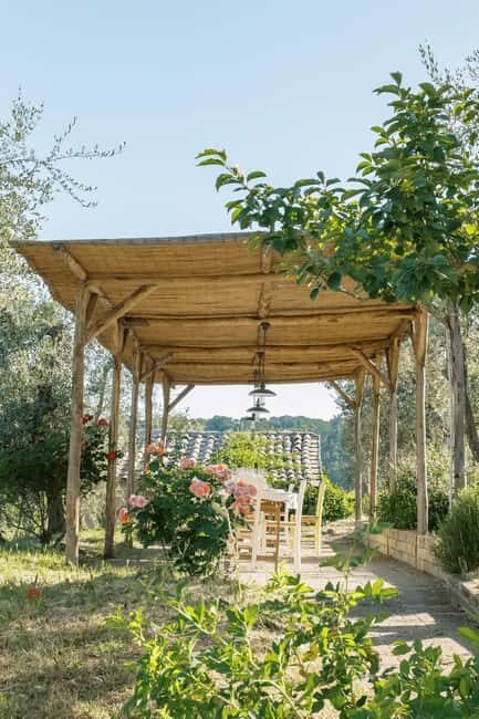 Orvieto: Classic Wine Tasting at Madonna del Latte - Discovering Madonna del Latte: An Experience for True Wine Lovers