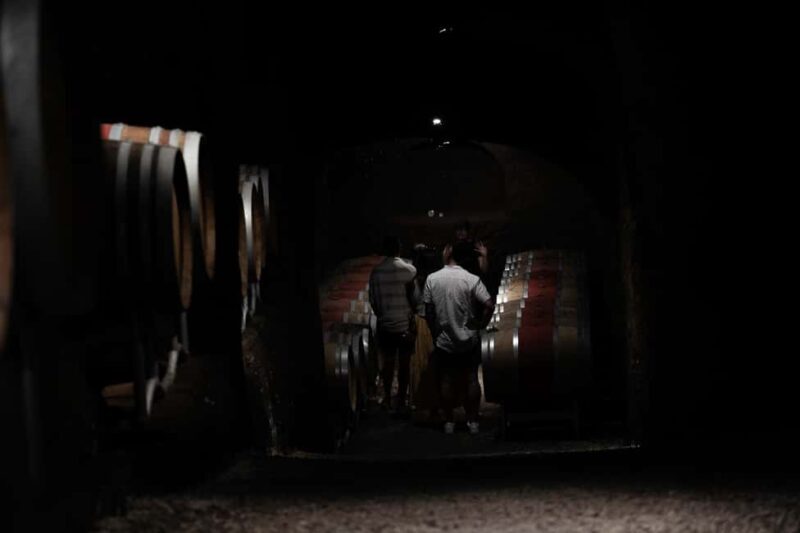 Orvieto: Classic Wine Tasting at Madonna del Latte - What Sets This Tour Apart?