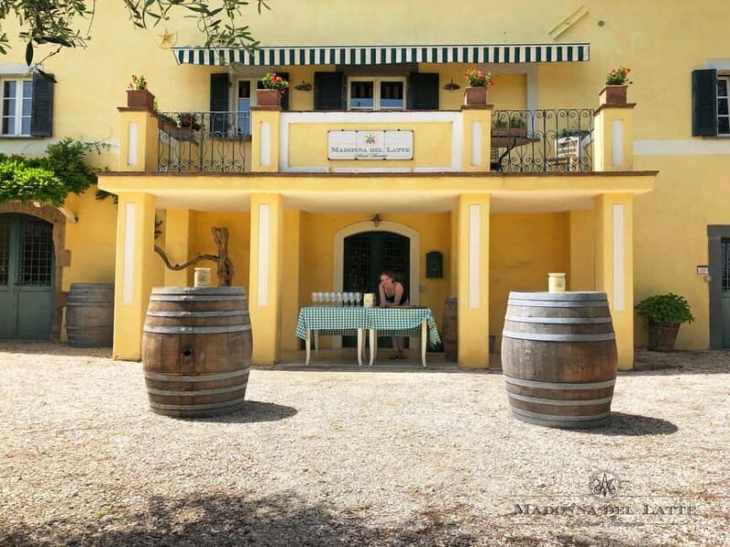 Orvieto: Classic Wine Tasting at Madonna del Latte - Who Will Love This Tour?