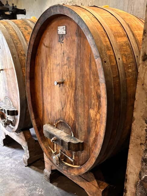Orvieto: Guided 2-hour Winery Tour with Wine Tasting - Exploring the Charm of a Private Winery Tour in Orvieto