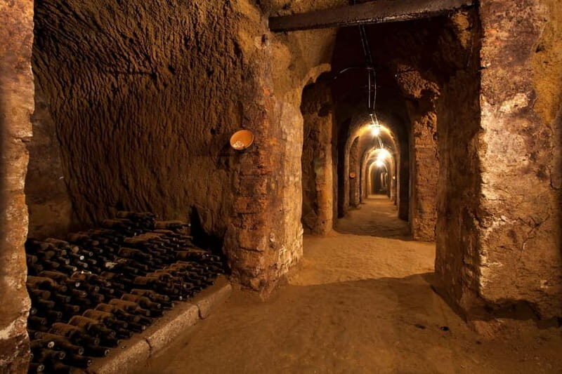 Orvieto: Tour and wine tasting at Tenuta Le Velette - A Close Look at the Experience