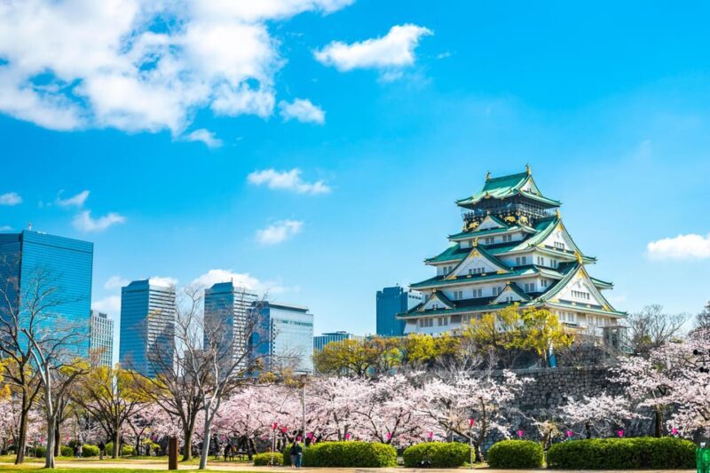 Osaka: 1-Day Private Customizable Trip by Car - Exploring Osaka in Style: What to Expect