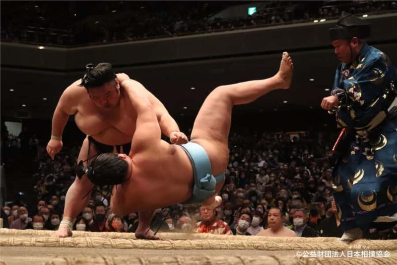 Osaka: 2026 Sumo Tournament Tour with Chanko-nabe Lunch - Key Points