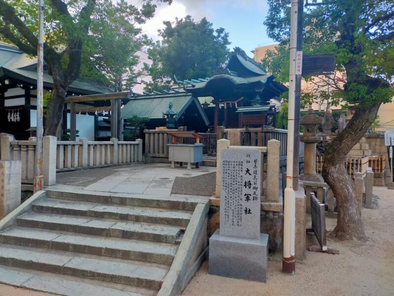 Osaka : 3/4/5 Hours Private Tour With Local Guide - Exploring Osaka with a Personal Touch