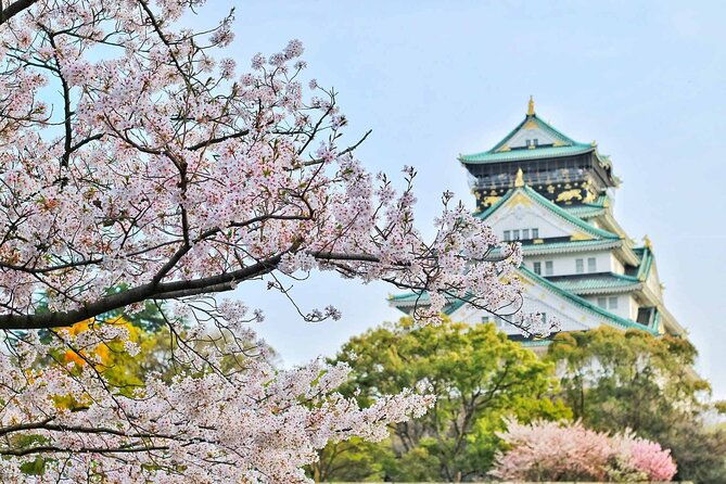 osaka-6-hr-private-tour-english-speaking-driver-only-no-guide