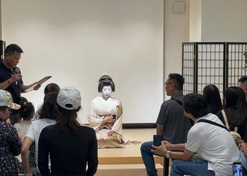 Osaka: 6hr Private Guided Tour with Geisha Performance - A Detailed Look at What You Can Expect from This Tour