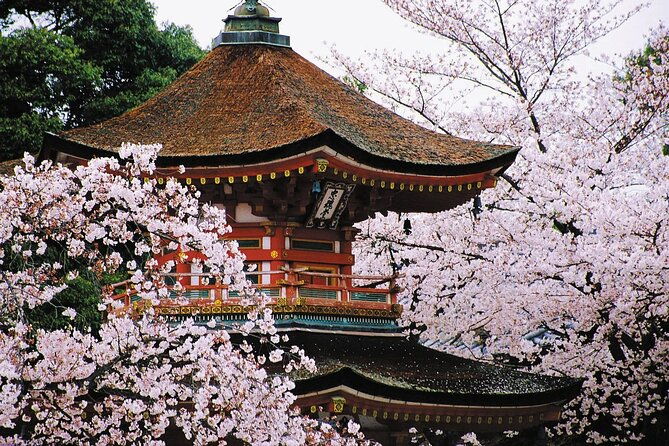 osaka-and-kansai-private-customized-day-tour