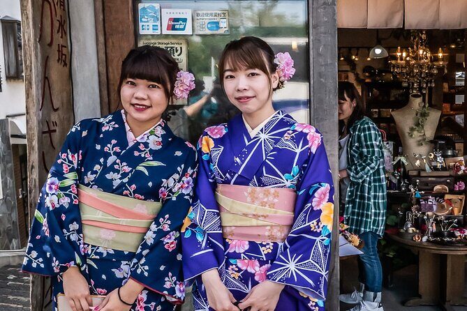 Osaka and Kyoto Private Car City Tour - Key Points