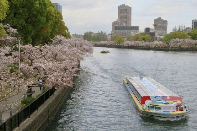osaka-and-kyoto-stunning-cherry-blossoms-and-sakura-cruise-tour