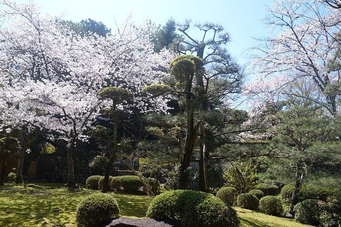osaka-and-kyoto-stunning-cherry-blossoms-and-sakura-cruise-tour