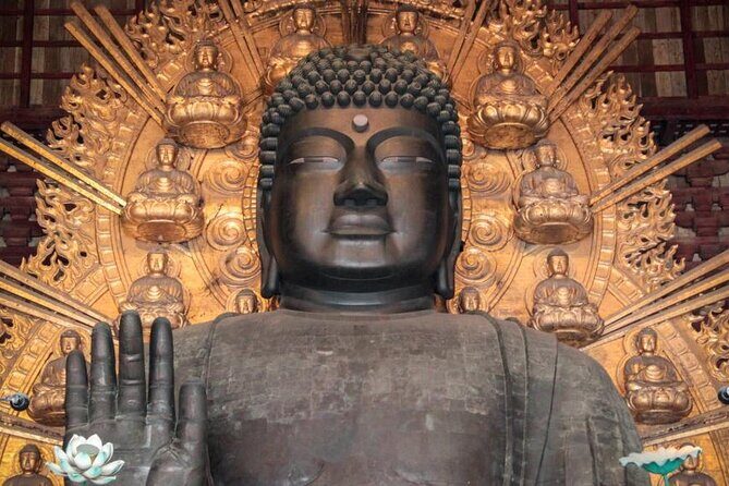 Osaka and Nara Day Tour with Private Transportation - Discovering the Heart of Japan in One Day