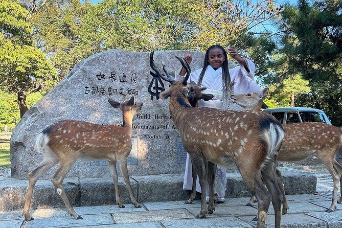 Osaka and Nara Private Car Tour with English Guide and Driver - An In-Depth Look at the Tour Experience