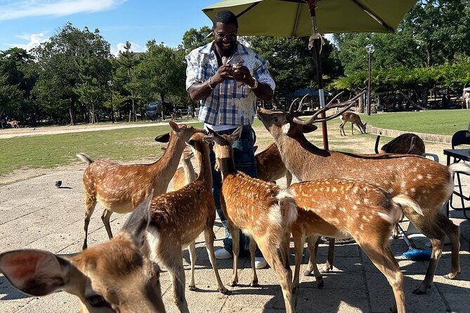 Osaka and Nara Private Car Tour with English Guide and Driver - The Sum Up: Is This Tour Worth It?