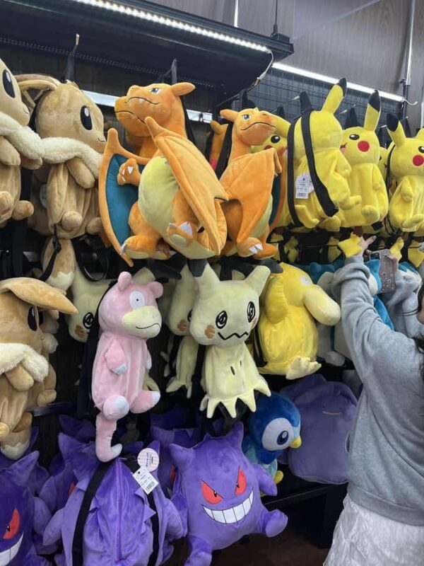 Osaka: Anime & Subculture Guided Private Tour - The Sum Up