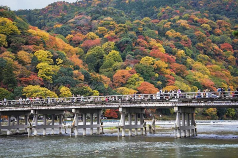 Osaka: Arashiyama, Kiyomizu-dera & Katsu-ji Day Trip - What Could Be Better