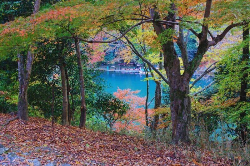 Osaka: Arashiyama Train, Fushimi Inari & Katsuo-ji Day Tour - Detailed Review of the Tour Experience