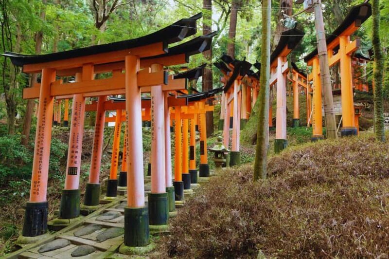 Osaka: Arashiyama Train, Fushimi Inari & Katsuo-ji Day Tour - Who Will Love This Tour?