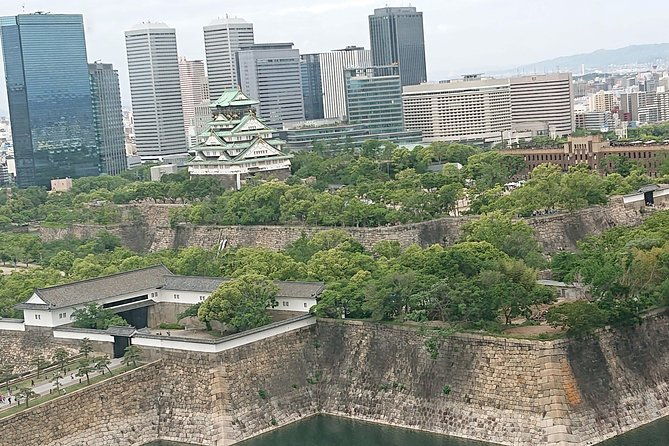 osaka-castle-dotonbori-lively-one-day-walking-tour