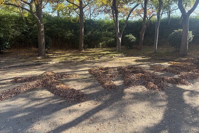 Osaka Castle Guided Tour: Interior, Museum & Gardens - Who Will Love This Tour?