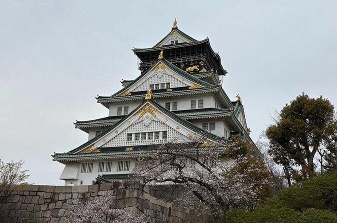 Osaka City Walking Tour - Frequently Asked Questions