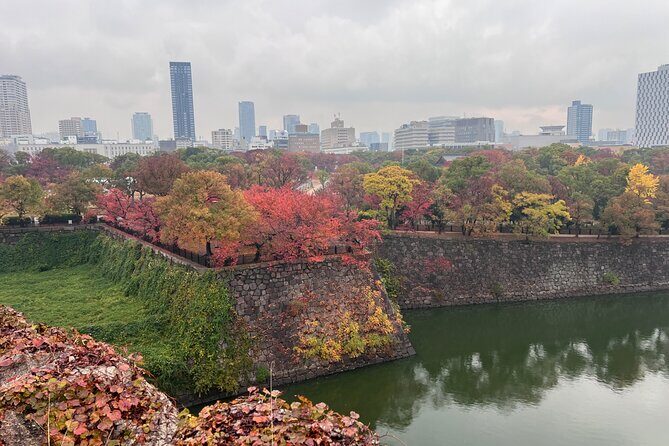Osaka Day Tour: Secret Spots & Local Treasures - The Experience You Get