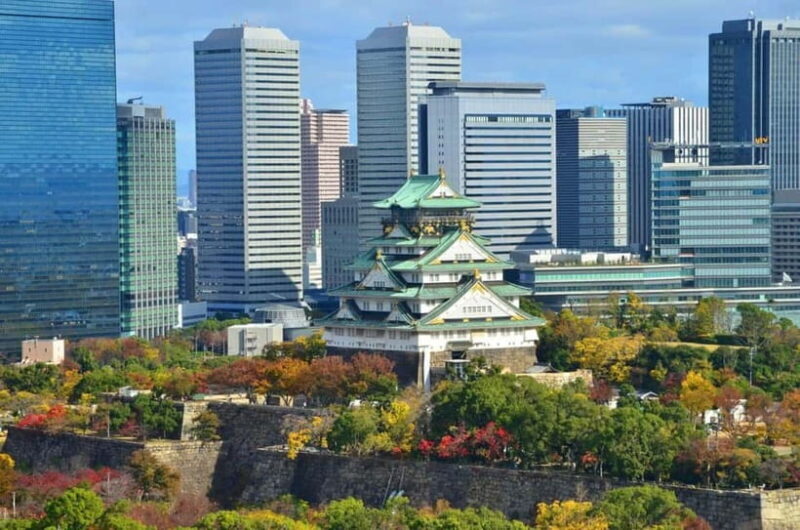 Osaka Day Tour: Unveiling the Ever-Changing City's Story - A Practical Introduction to Osaka’s Vibrant Scene