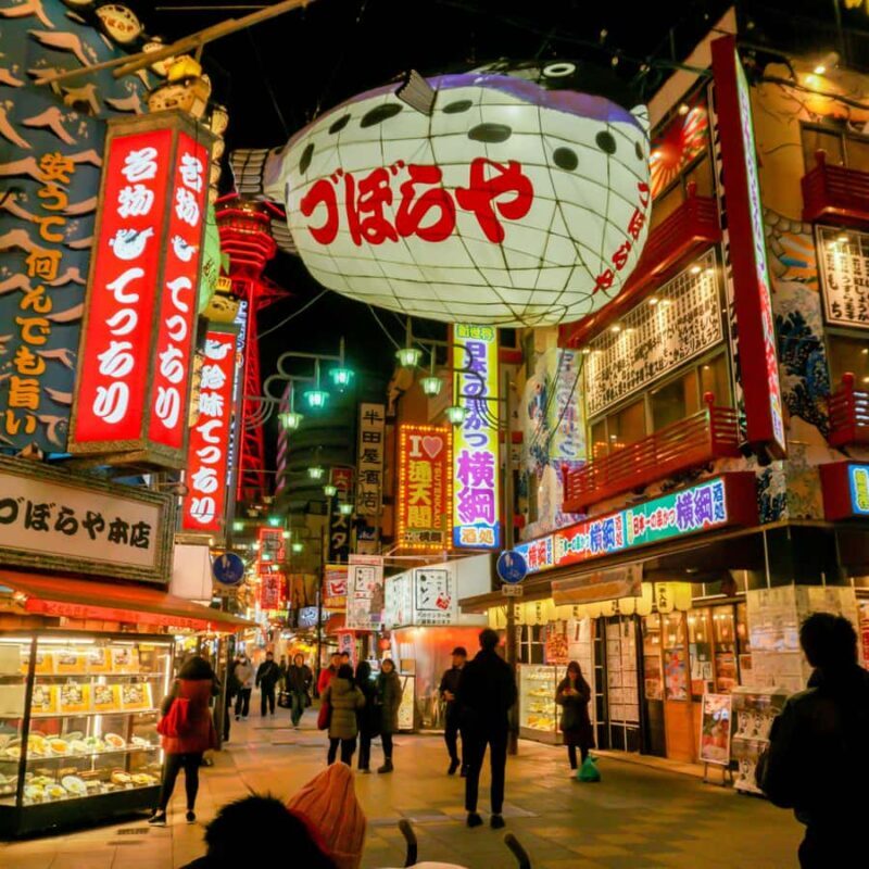 Osaka Day Trip by Private Car Hotel Pickup & English Driver - Key Points