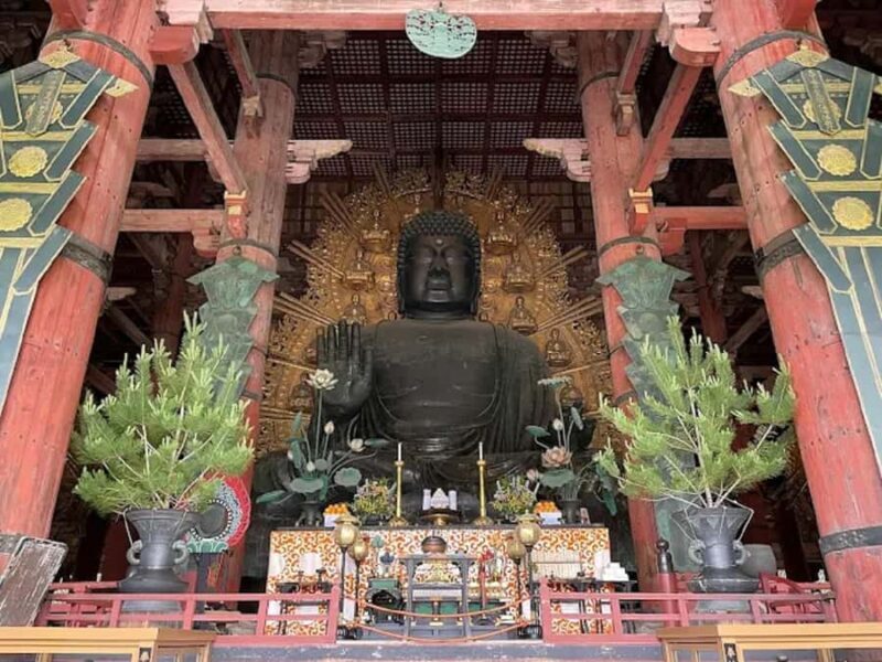 Osaka: Discovering Nara Timeless Grace Guided Tour - The Journey from Osaka to Nara