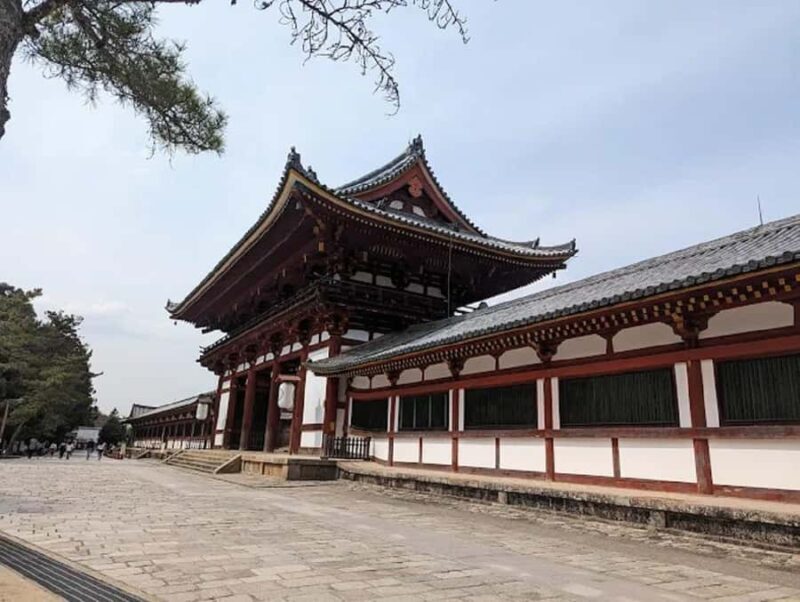 Osaka: Discovering Nara Timeless Grace Guided Tour - Exploring Todai-ji Temple and the Great Buddha