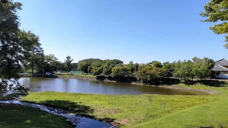 Osaka: Discovering Nara Timeless Grace Guided Tour - A Taste of Japan: Kaiseki at Kikusuiro