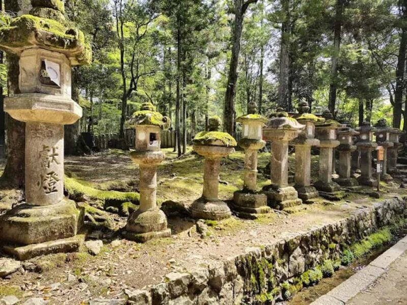 Osaka: Discovering Nara Timeless Grace Guided Tour - Practicalities: Comfort, Accessibility, and Value